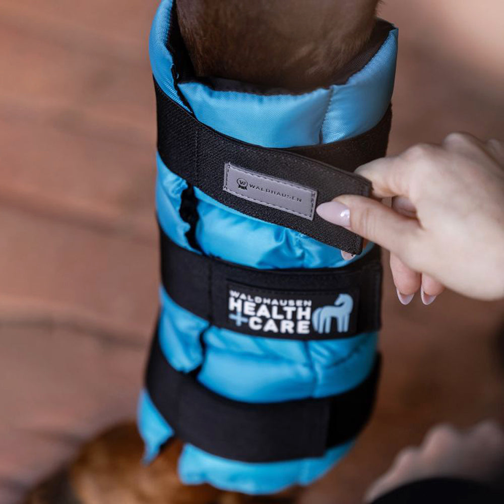 Stivale rinfrescante per la salute e la cura del cavallo - Benzina