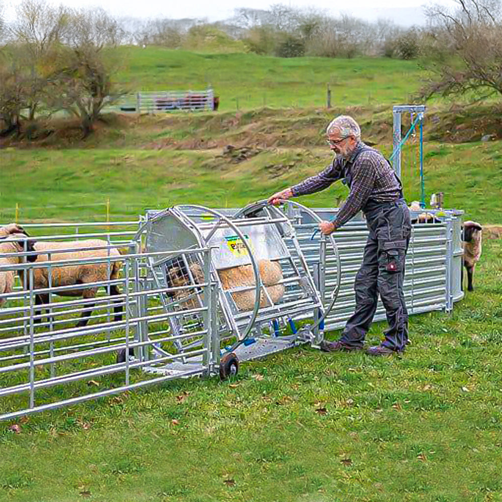 Cassa Girevole per Pecore con Telaio Mobile