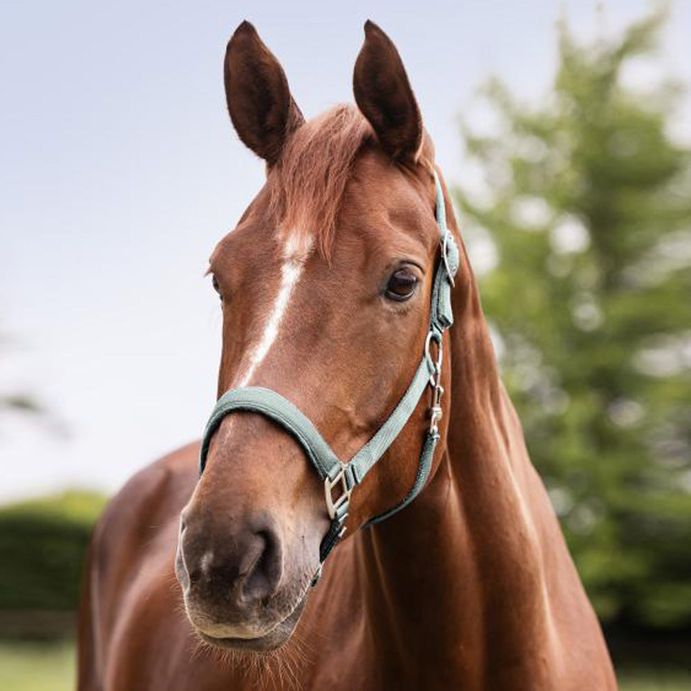 Capezza Satin Regolabile e Morbida