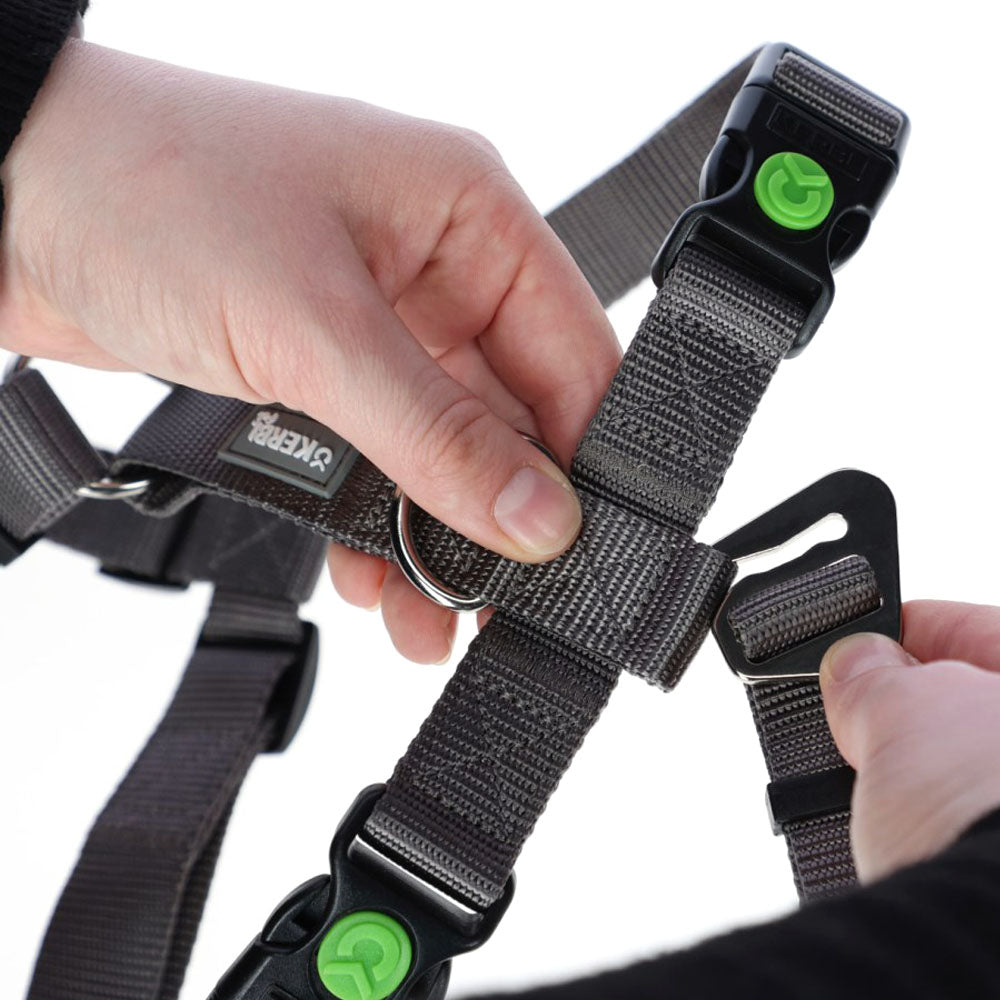 Pettorina antipanico Miami per cani