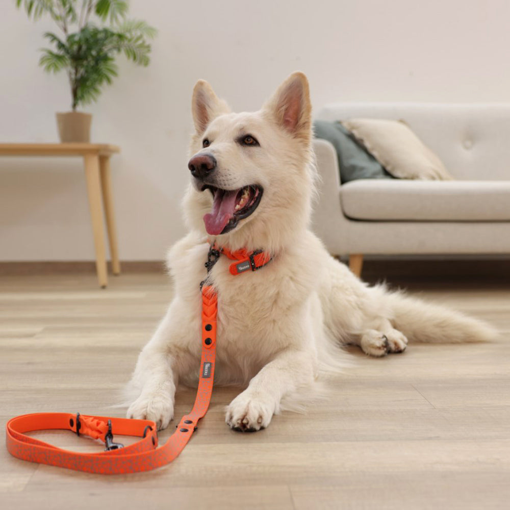 Guinzaglio da passeggio Puno e Lima 200cm.