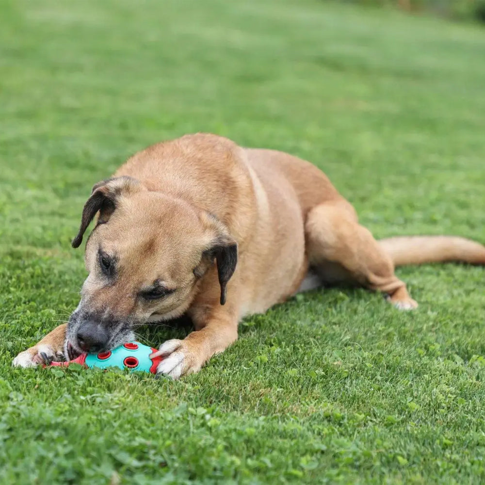 Coni ToyFastic Giocattolo per cani, 15 x 6,5cm