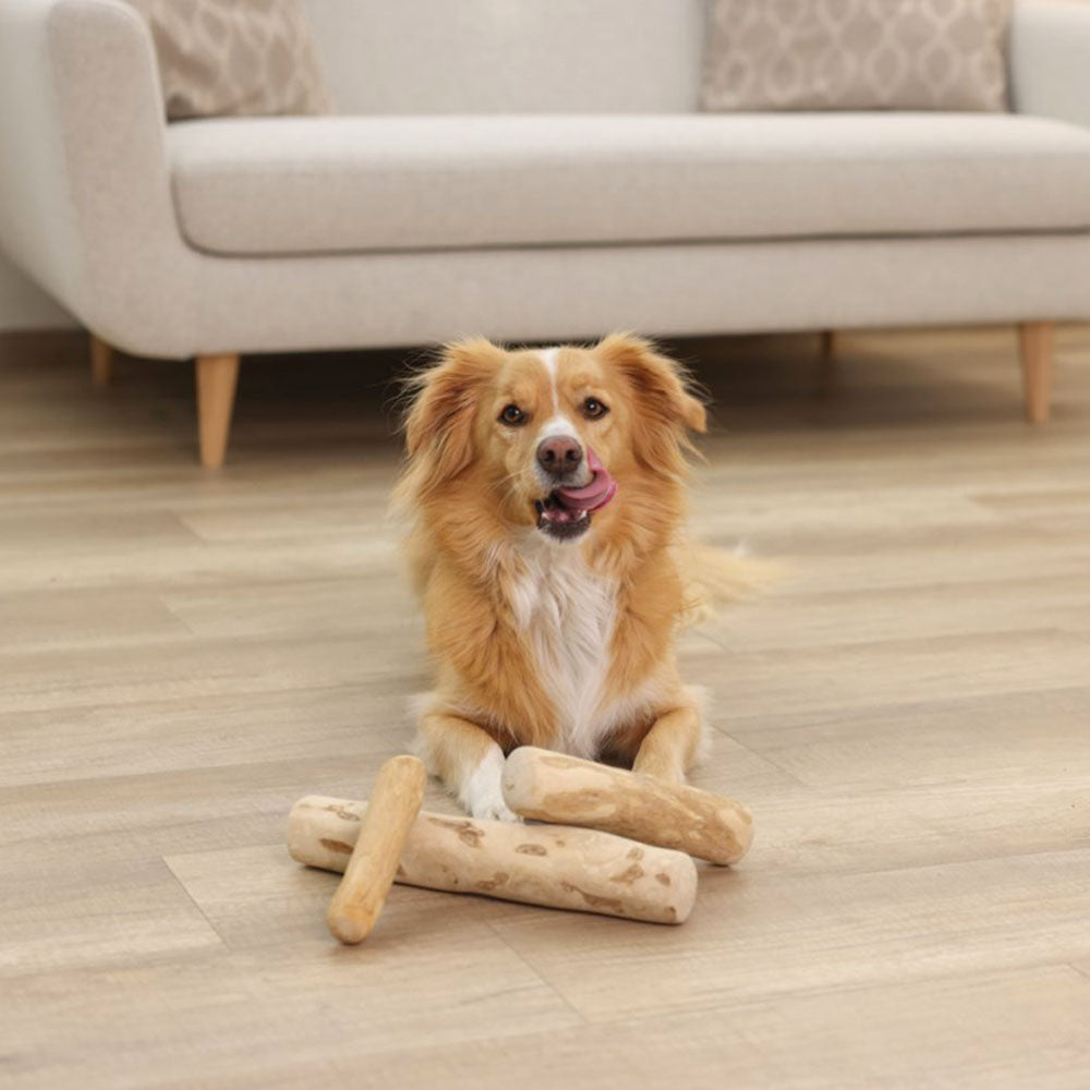 Bastoncino da masticare in legno di caffè naturale 20cm