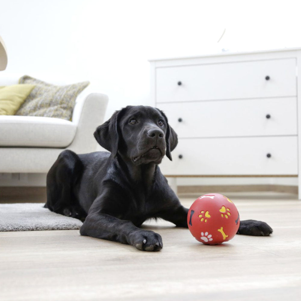 Palla snack per cani diametro 11cm rosso