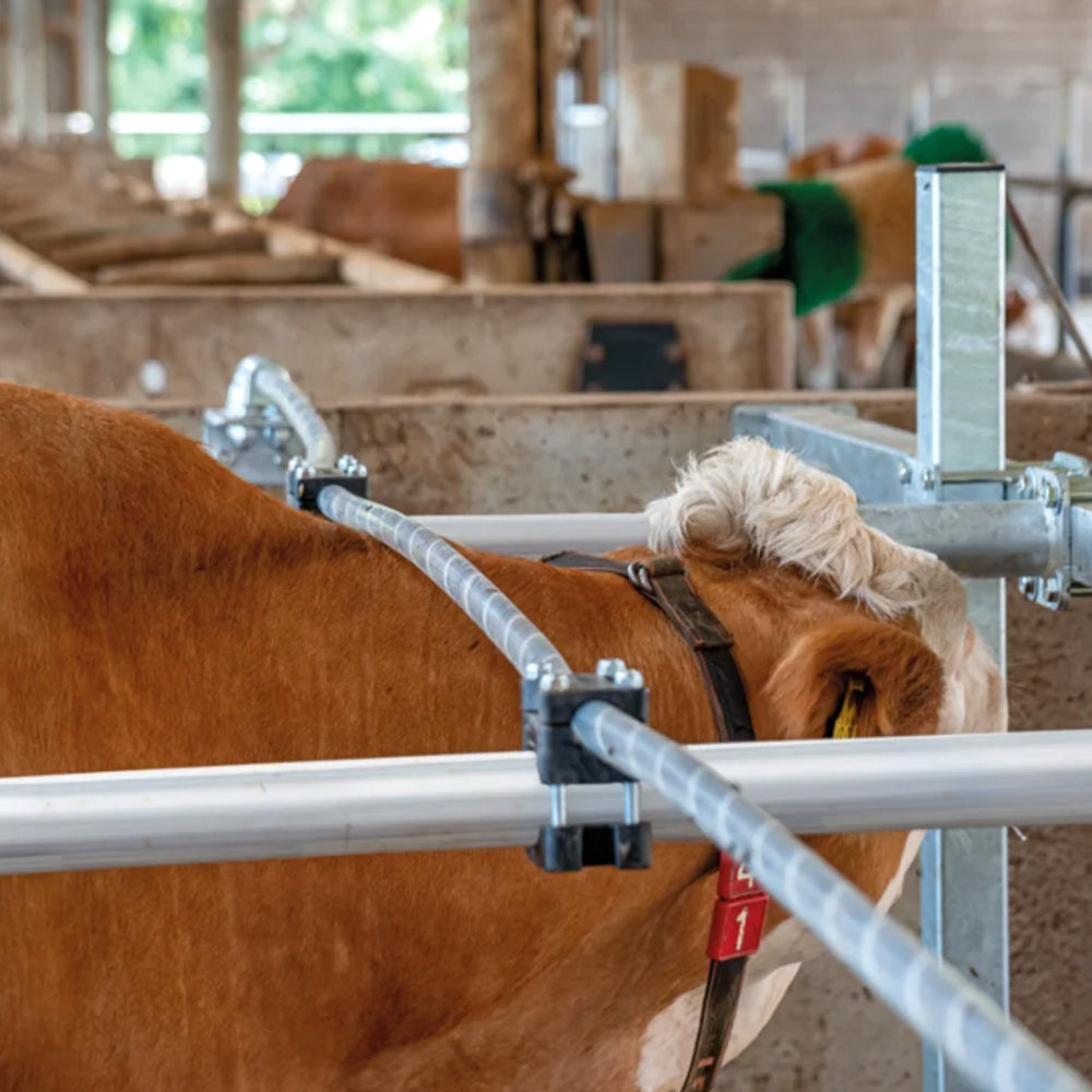 Corda Flessibile per Collo – Divisorio Tavolo Alimentazione Mucche