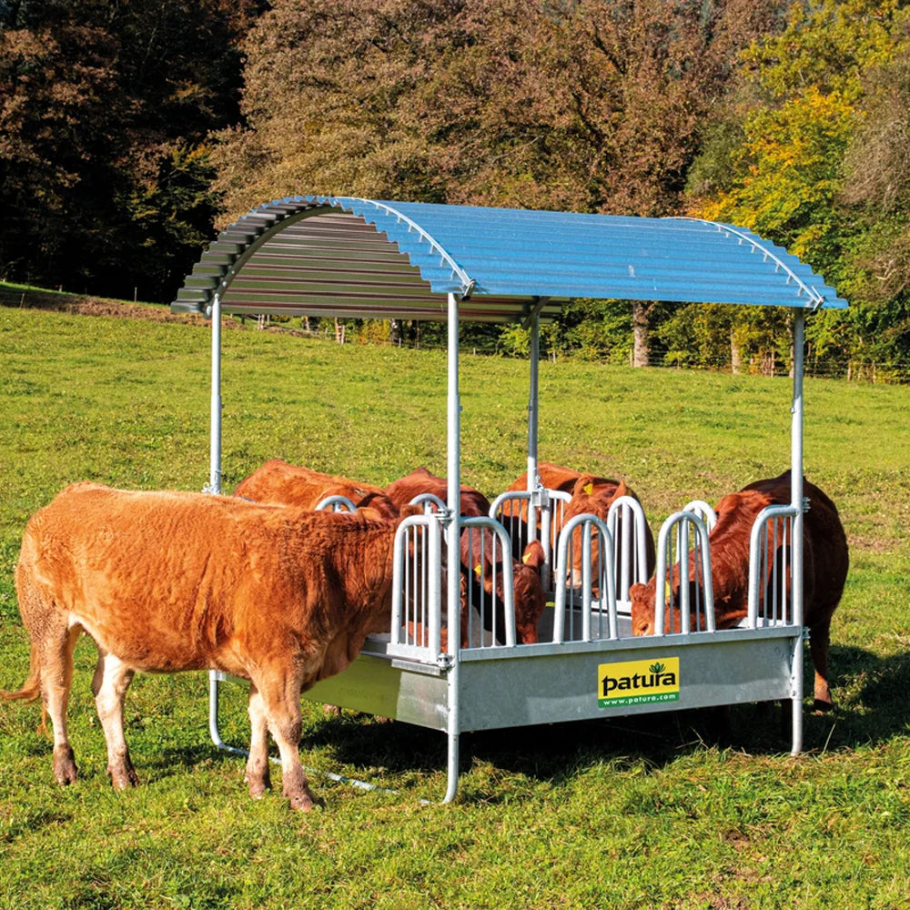 Mangiatoia Rettangolare Compatta con Frontale a Testiera di Sicurezza