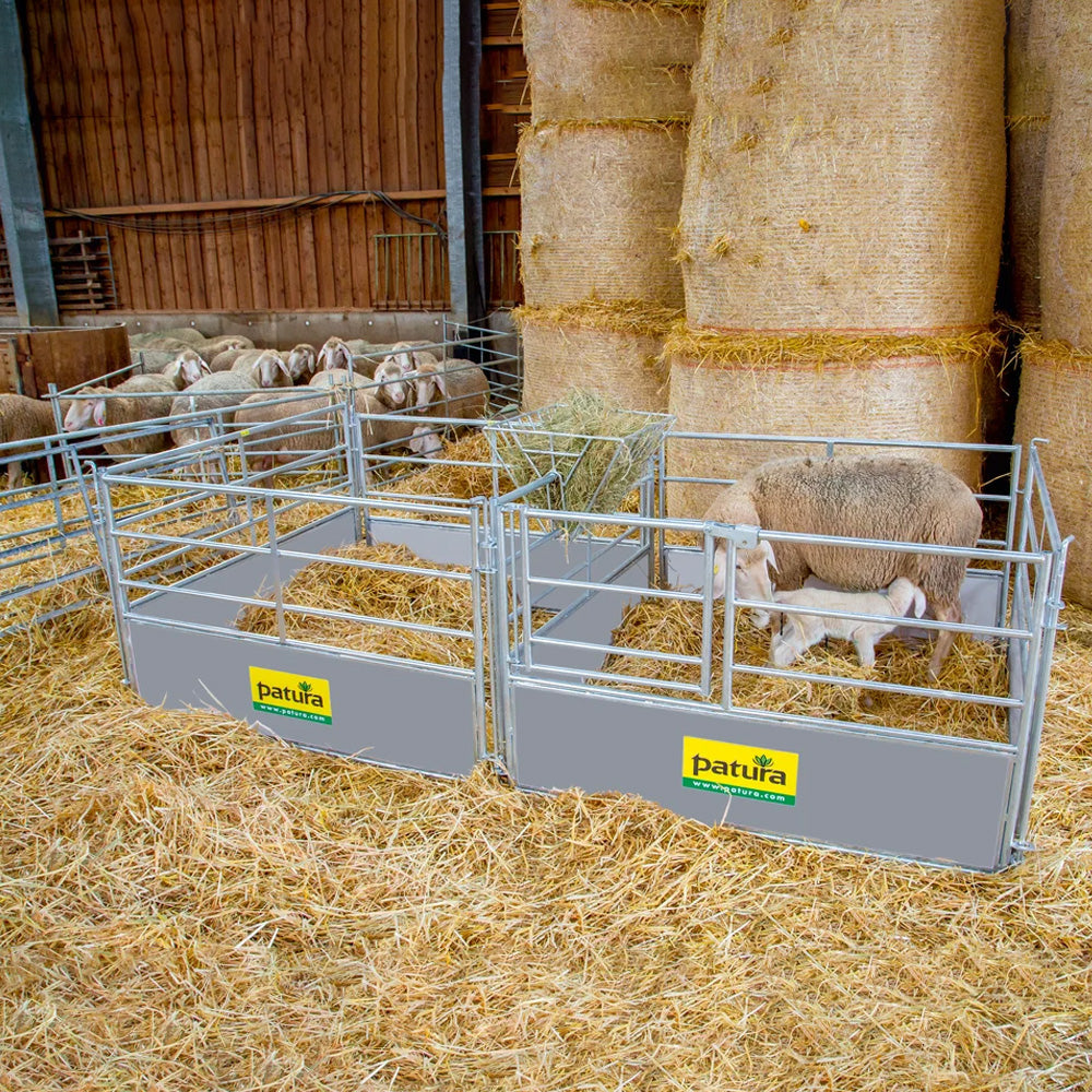 Recinto per stalla ovini con box parto e cancello