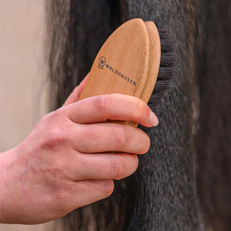 Exclusive Line Spazzola per la sporco per cavalli Toelettatura