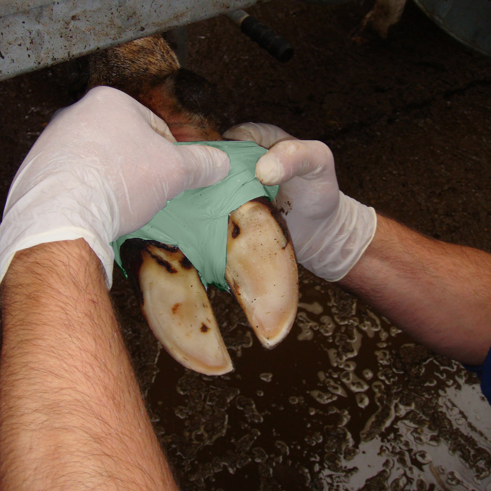 Fasciatura Vet Flex - Fascia Elasticizzata per Supporto e Protezione Veterinaria - Agritura