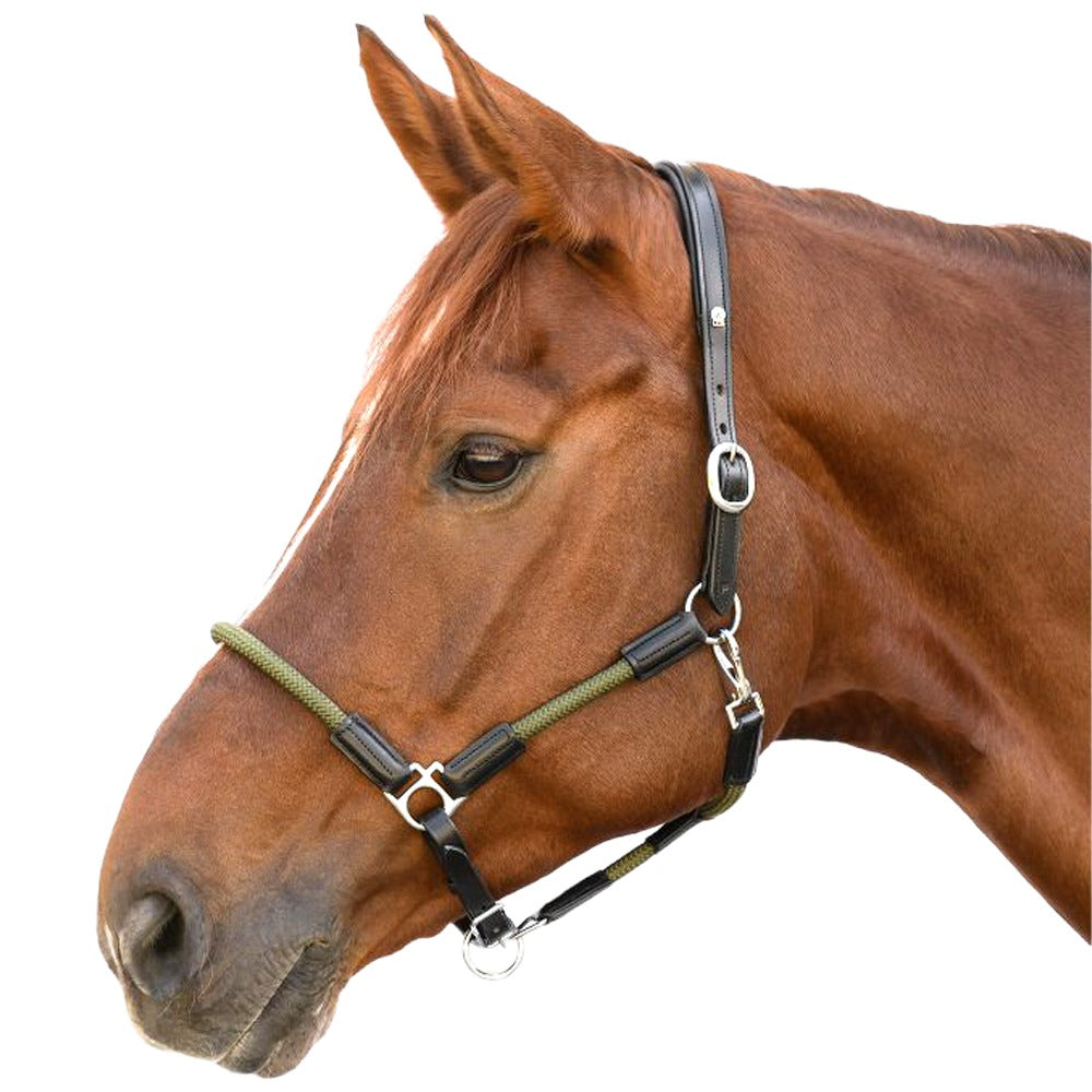 Cavezza in cuoio X-Line Nevada nero/verde