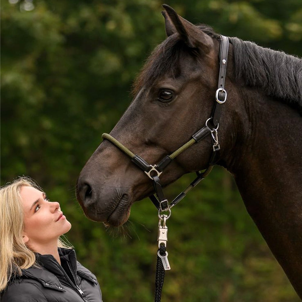 Cavezza in cuoio X-Line Nevada nero/verde