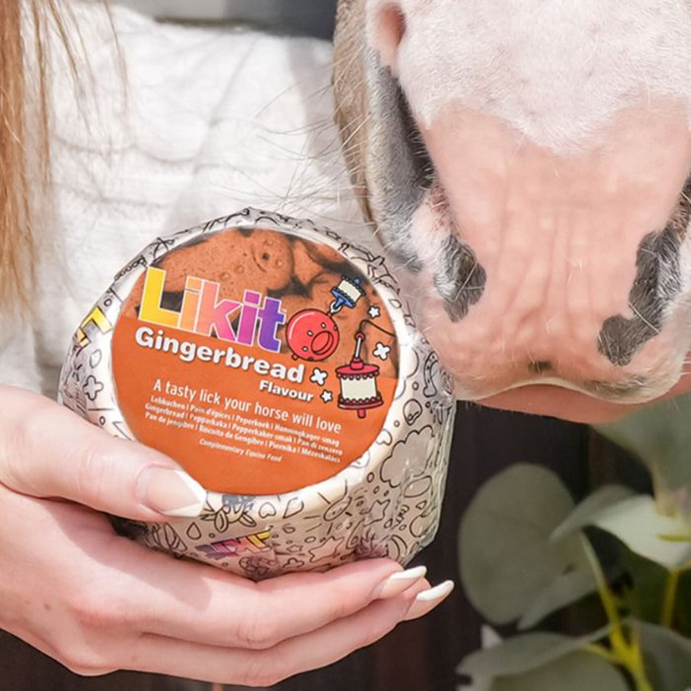 Likit Leckstein für Pferde 625g
