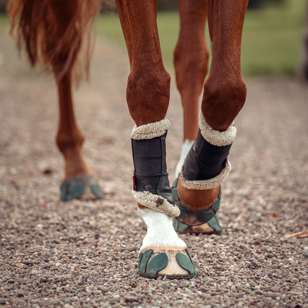 Performer V3 – Ferratura di plastica per cavallo, coppia (2 pezzi)