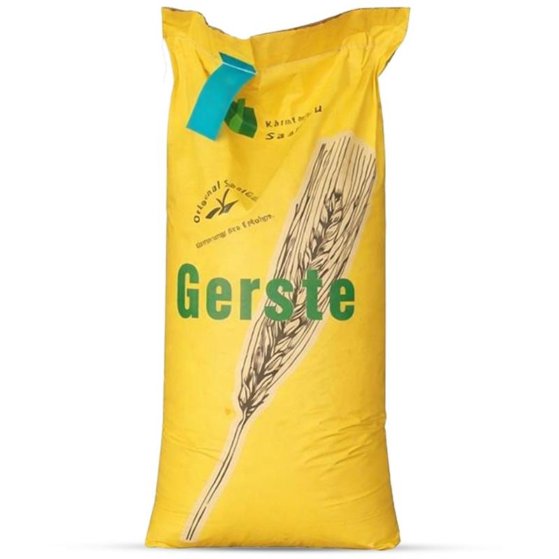 Orzo Estivo Elena Convenzionale 30Kg - Semi di Orzo di Alta Qualità per la Semina