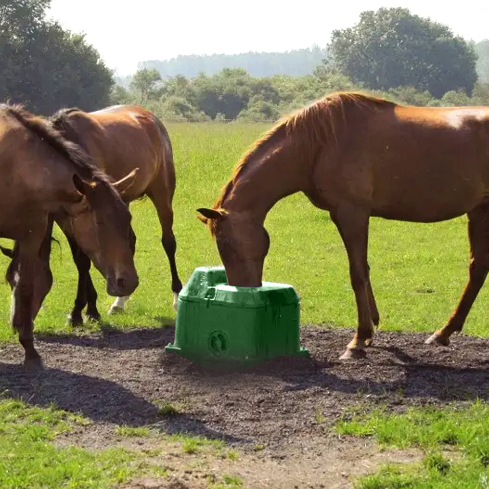 Abbeveratoio a Sfera Antigelo Senza Energia – Capacità 40L