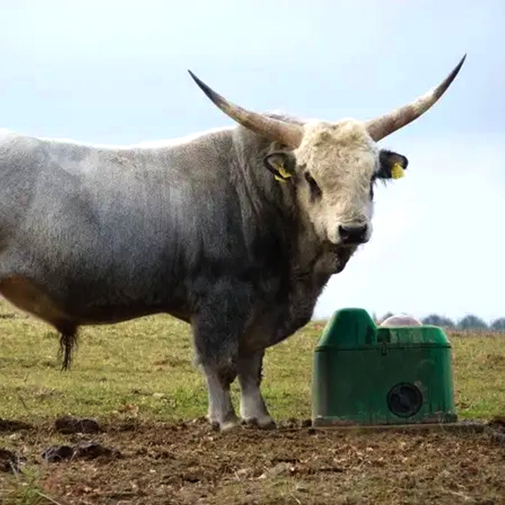 Abbeveratoio a Sfera Antigelo Senza Energia – Capacità 40L