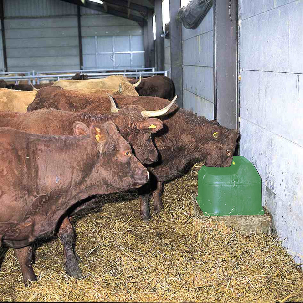 Abbeveratoio a Sfera Antigelo Senza Energia – Capacità 40L