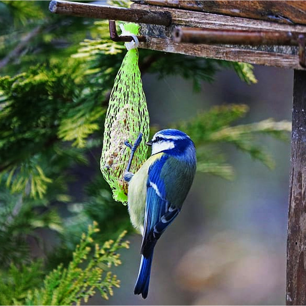 PANTO® Pacchetto Misto 7 Pezzi: Palline di Grasso, Stick, Sacchetti e Candela per Uccelli