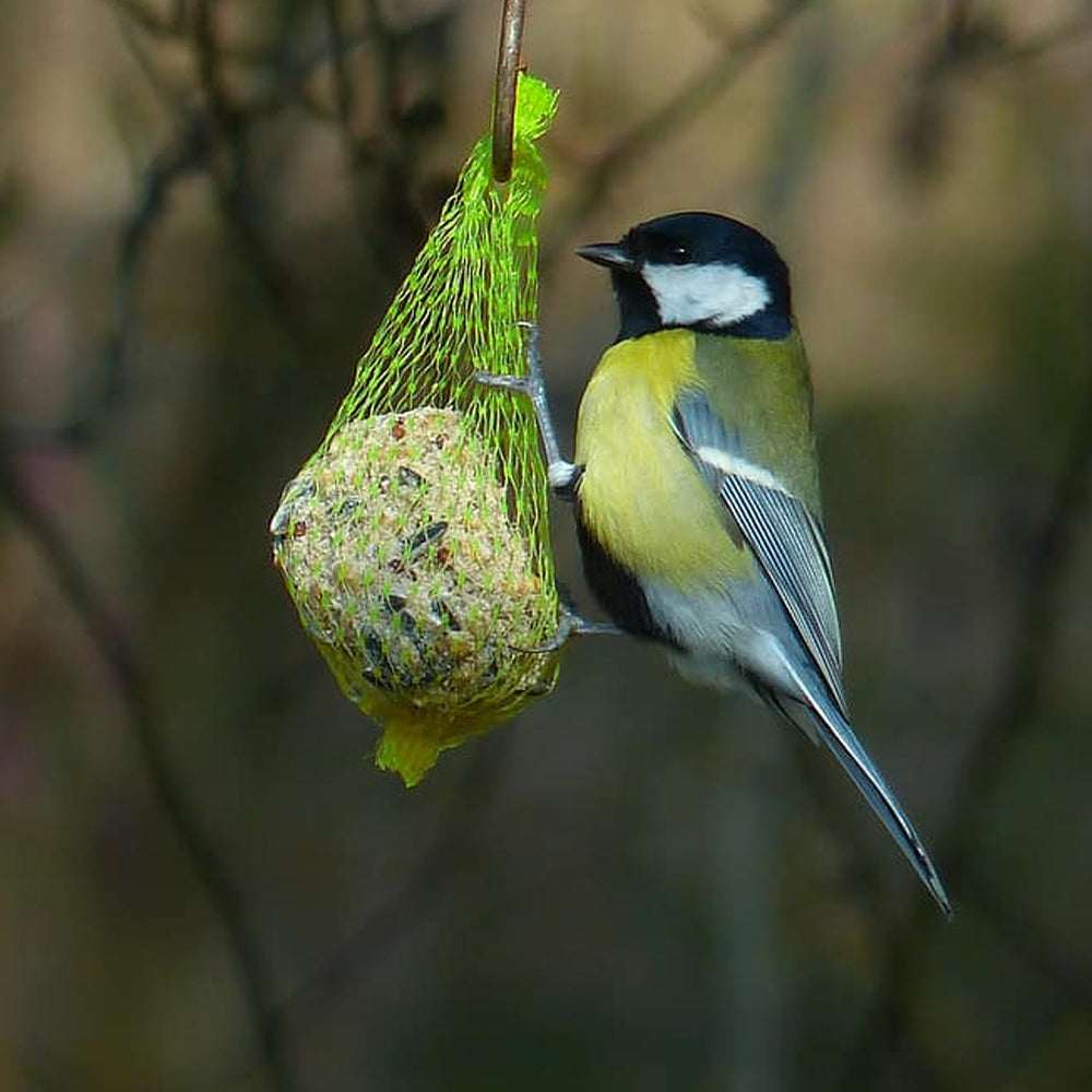 PANTO® Pacchetto Misto 7 Pezzi: Palline di Grasso, Stick, Sacchetti e Candela per Uccelli