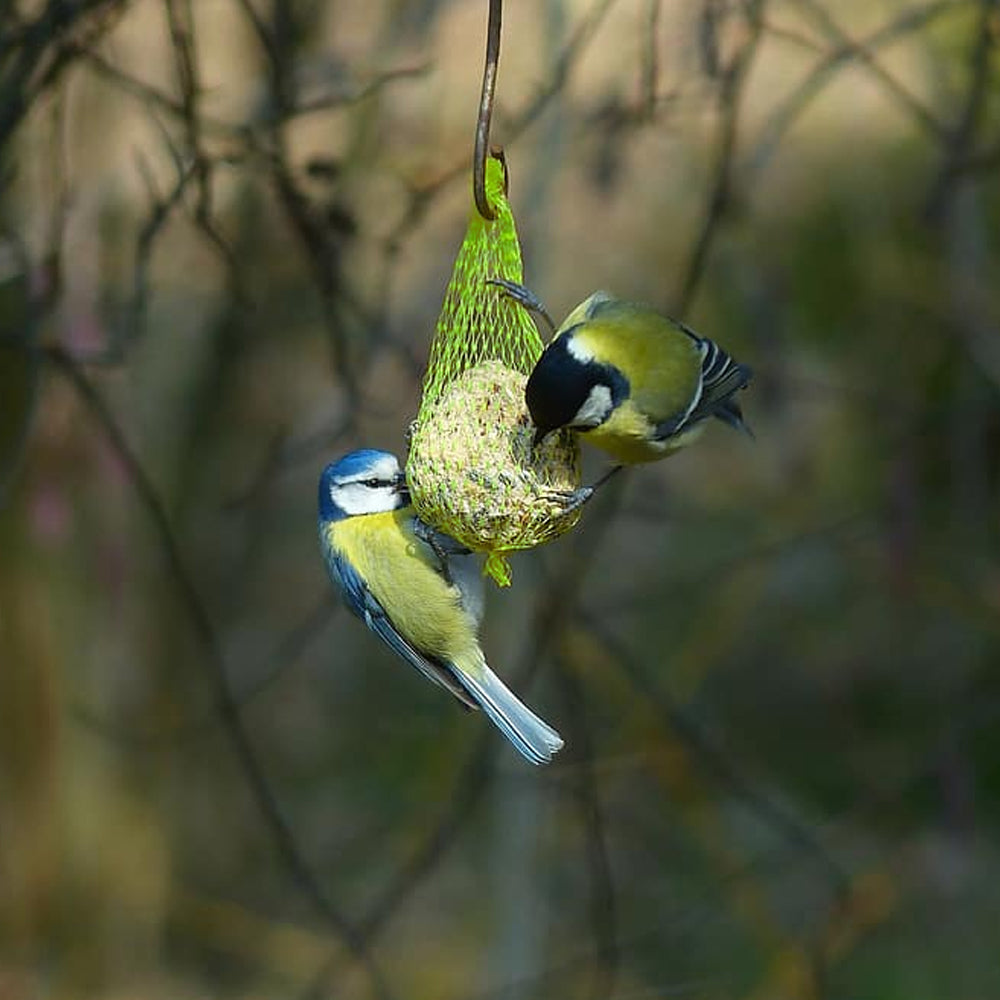 PANTO® Pacchetto Misto 7 Pezzi: Palline di Grasso, Stick, Sacchetti e Candela per Uccelli