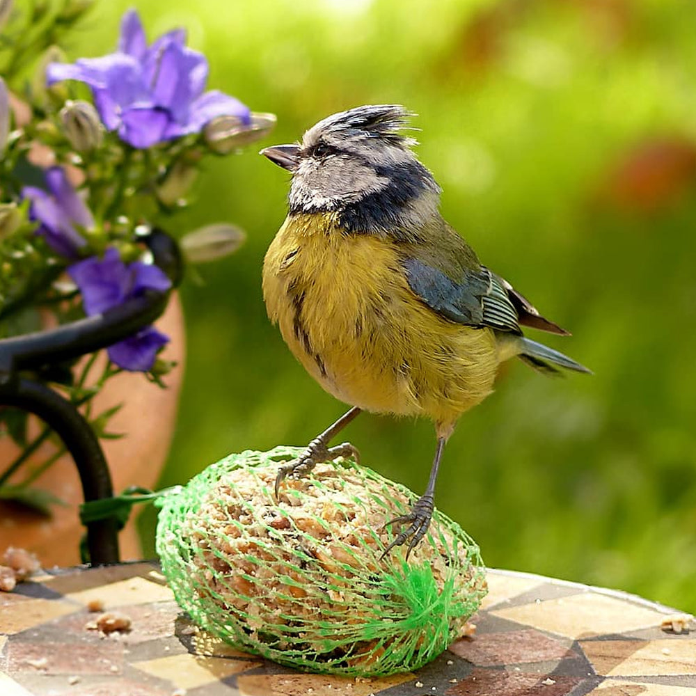 PANTO® Pacchetto Misto 7 Pezzi: Palline di Grasso, Stick, Sacchetti e Candela per Uccelli