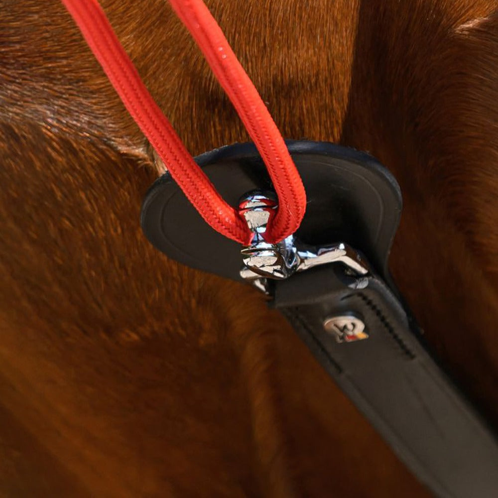 W-trainRein Adjustable Leather Triangle Reins Horse Training