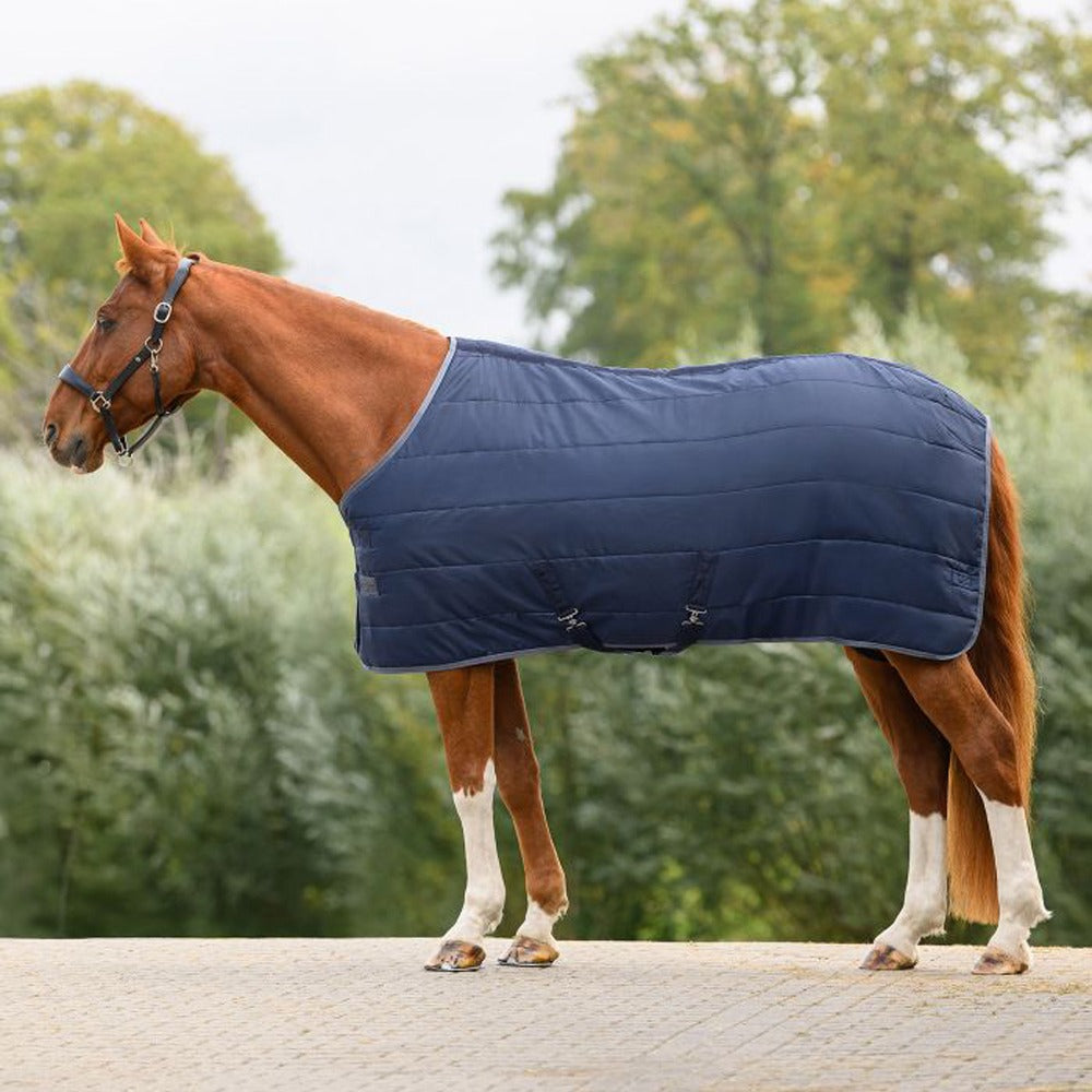 Economic Stable Blanket 100g Breathable Horse Comfort Rug