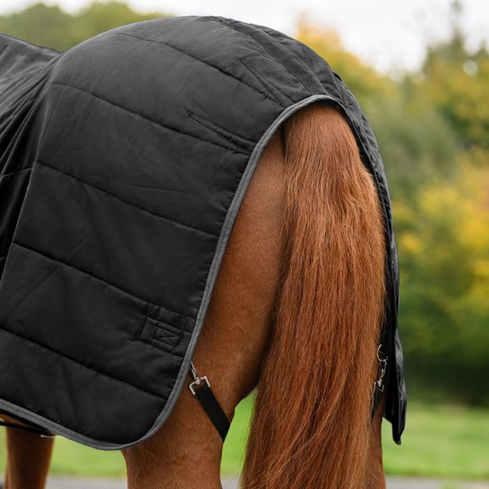 Coperta Box Cavallo Economic 300g Invernale Calda Comfort