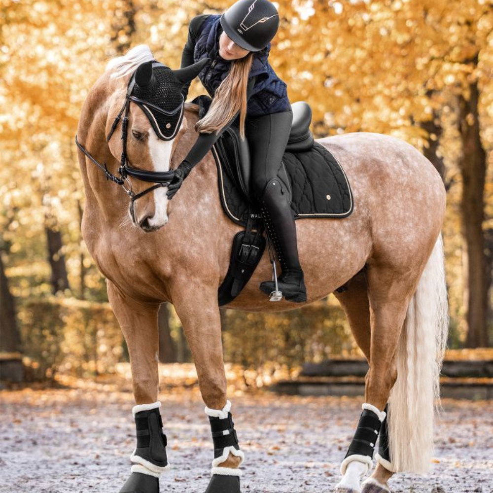 Dressurgamaschen Comfort