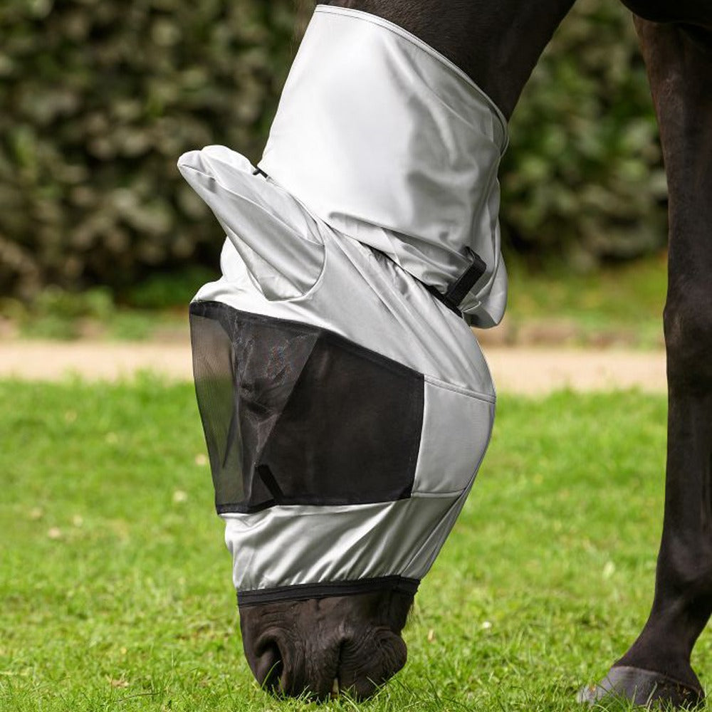 Fly mask for eczema
