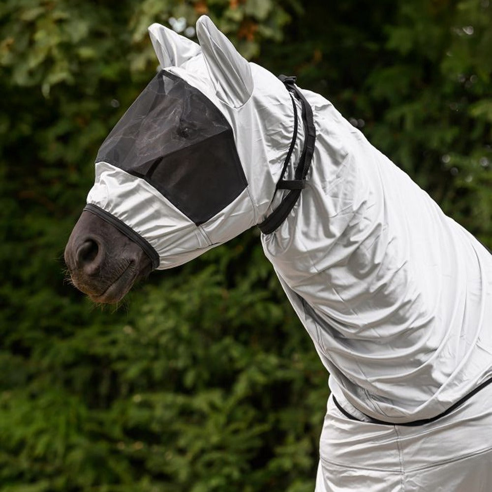 Fly mask for eczema