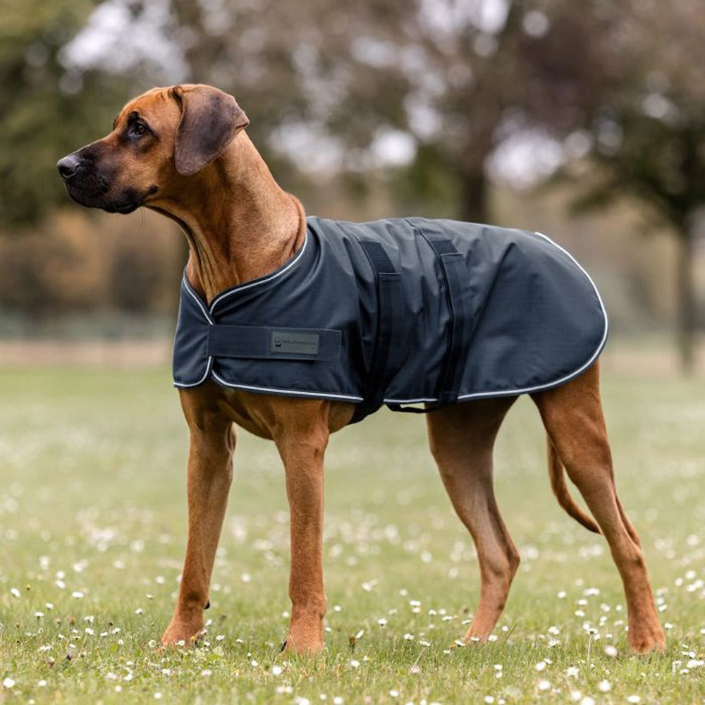Dog Rain Coat
