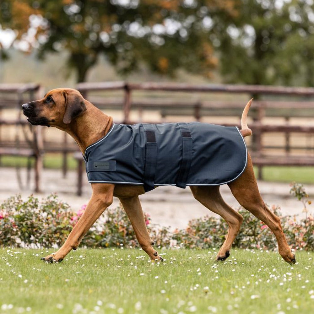 Dog Rain Coat