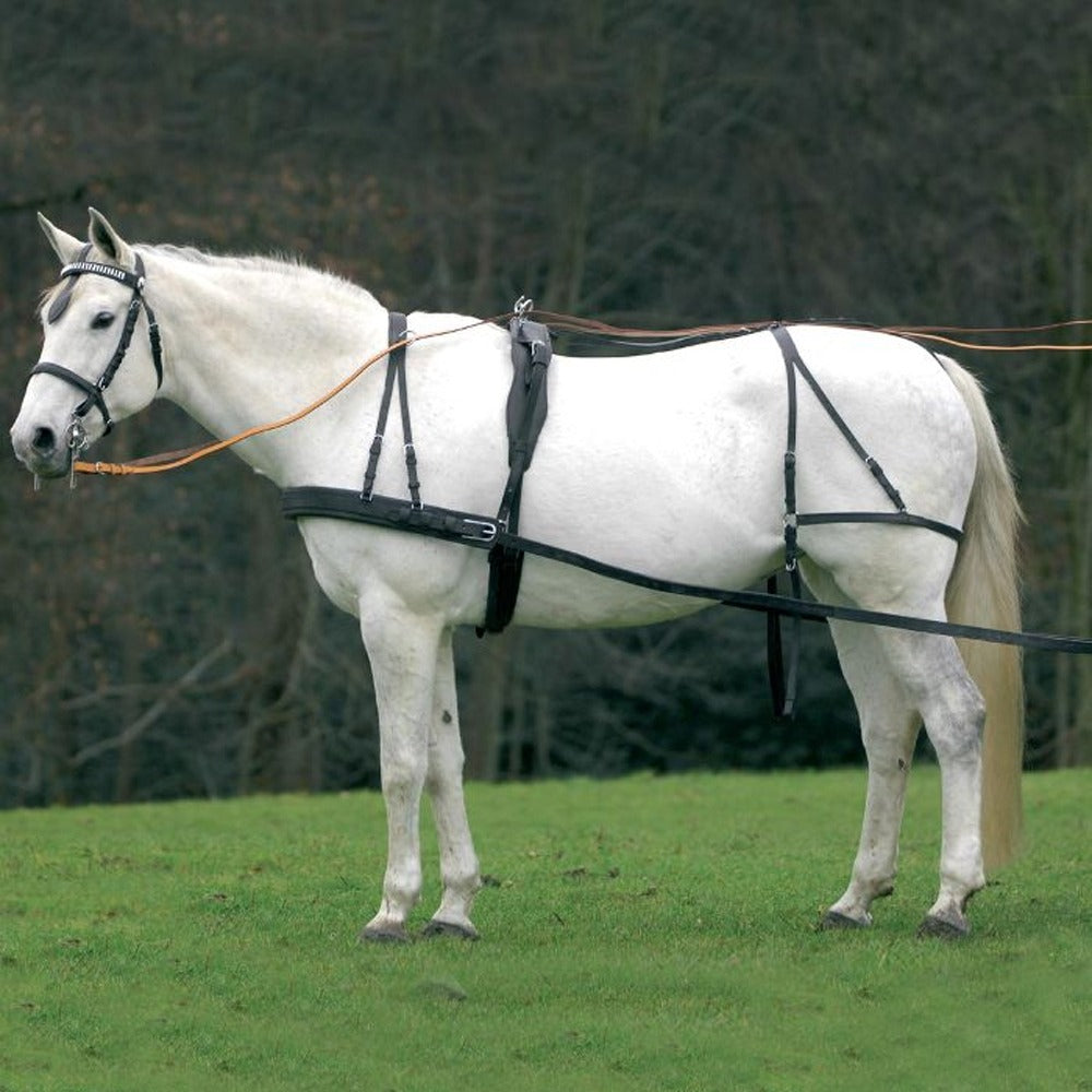 Economic Single Horse Driving Harness Black Complete Leather Set