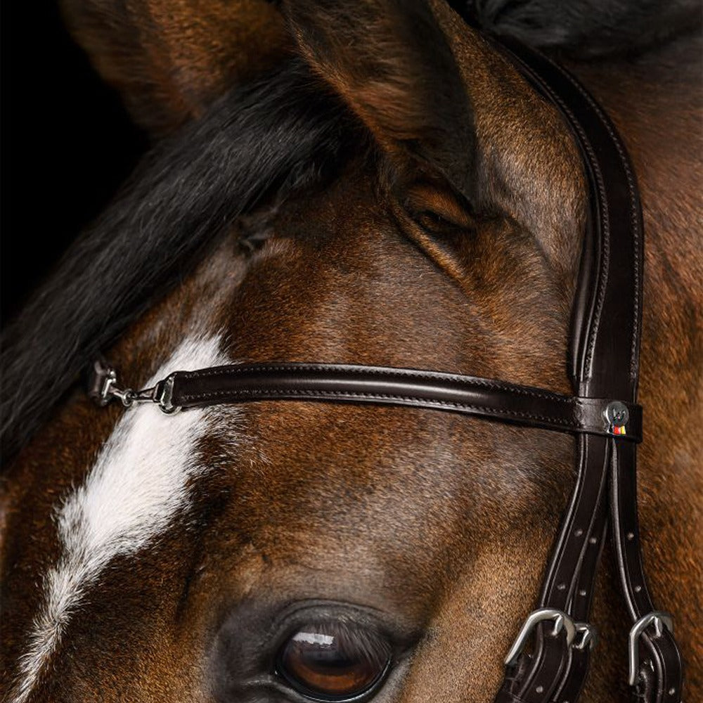 Waldhausen X-Line Charmbit Bridle with Anatomical Headpiece