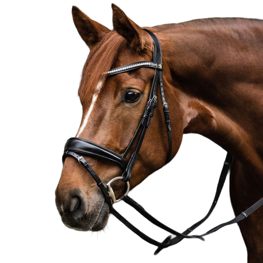 Essential Snaffle S-Line Bridle