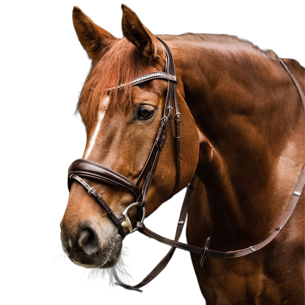 Essential Snaffle S-Line Bridle