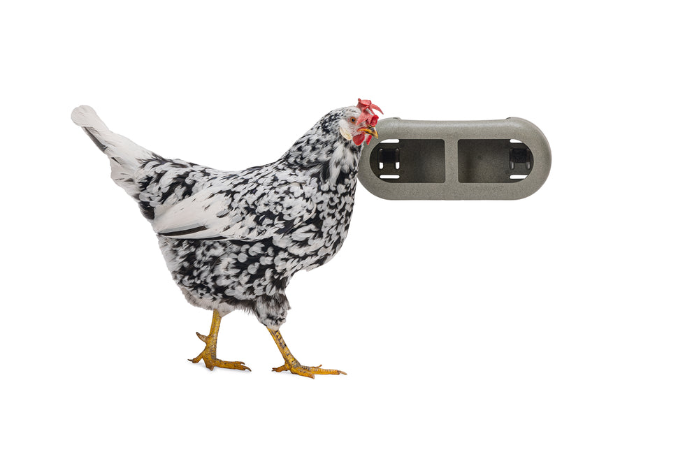 Mangiatoia per Galline con Velcro 100% Riciclato – Compatta e Resistente