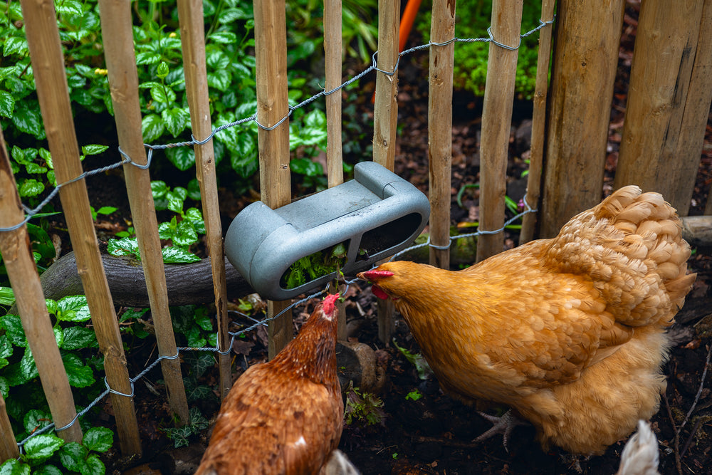 Mangiatoia per Galline con Velcro 100% Riciclato – Compatta e Resistente