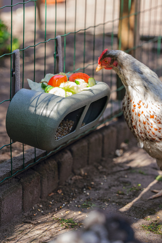 Mangiatoia per Galline con Velcro 100% Riciclato – Compatta e Resistente