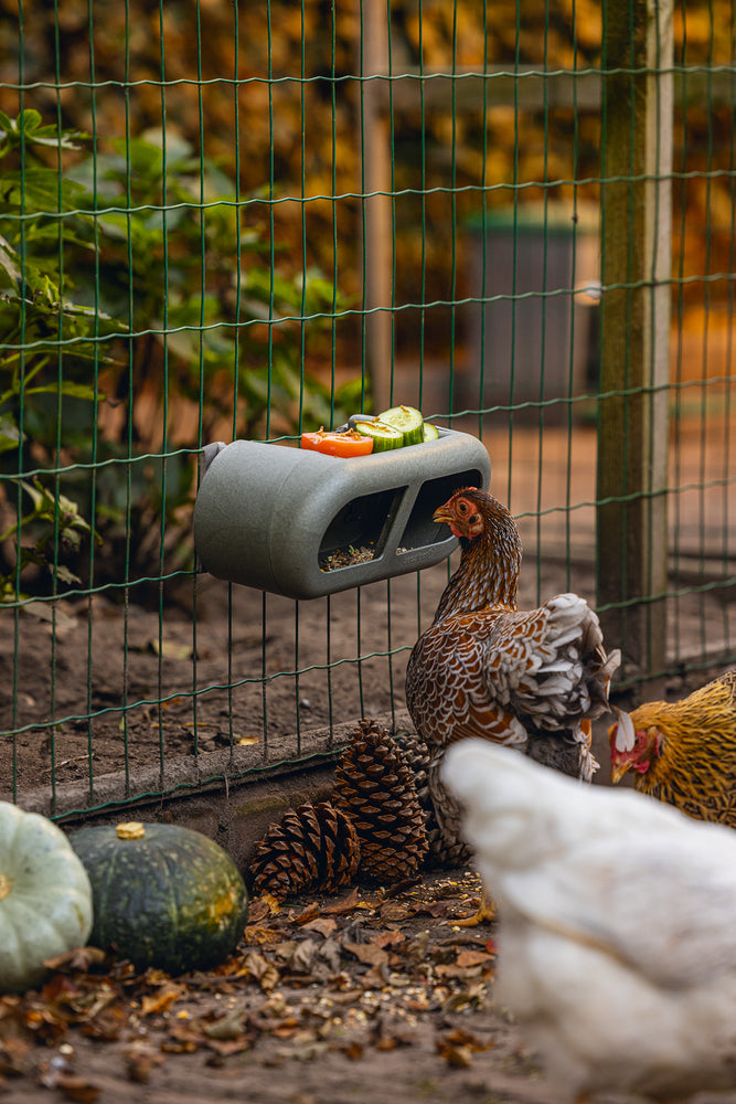 Mangiatoia per Galline con Velcro 100% Riciclato – Compatta e Resistente