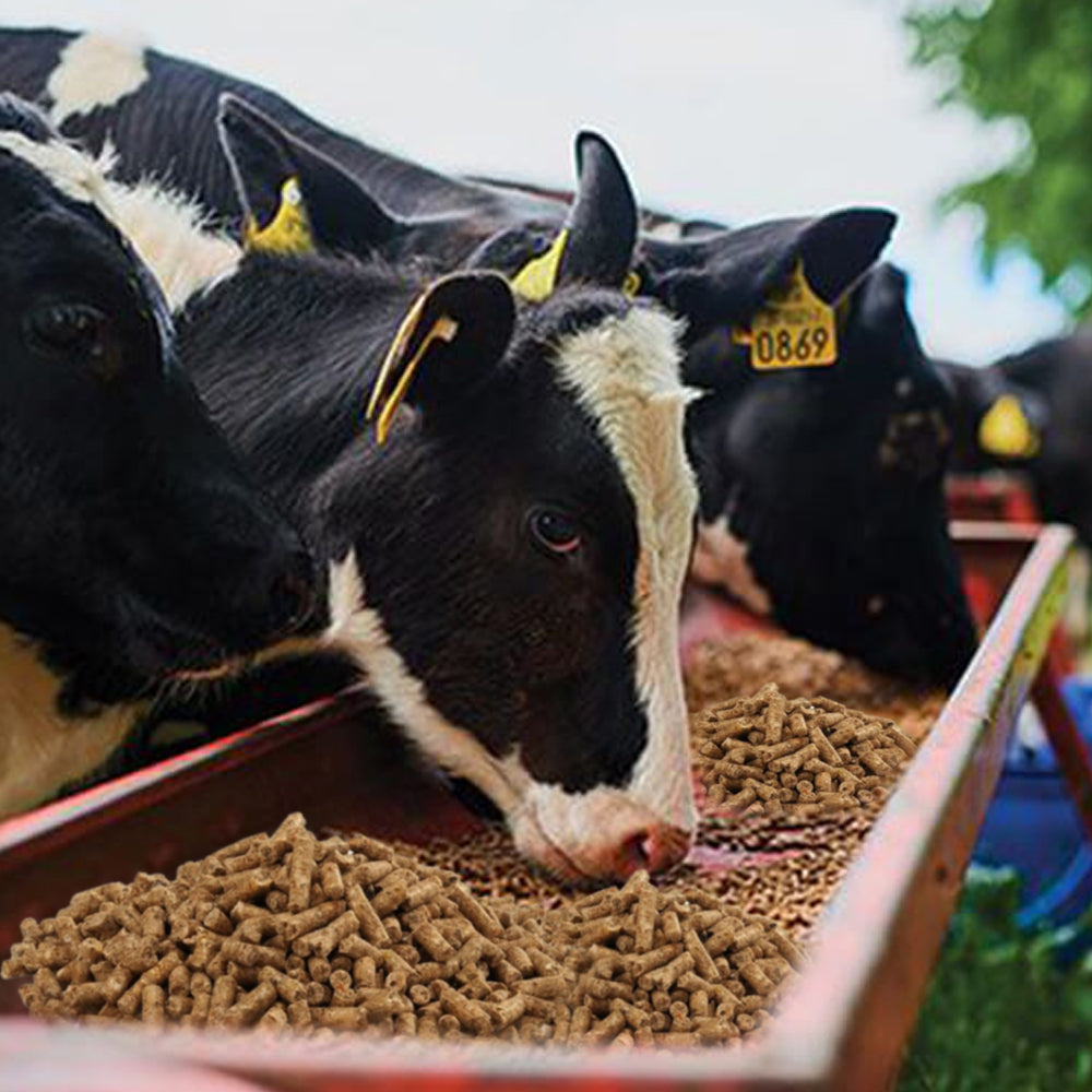 Beikircher Mangimi – Sale minerale Estrus Pellets (25kg)