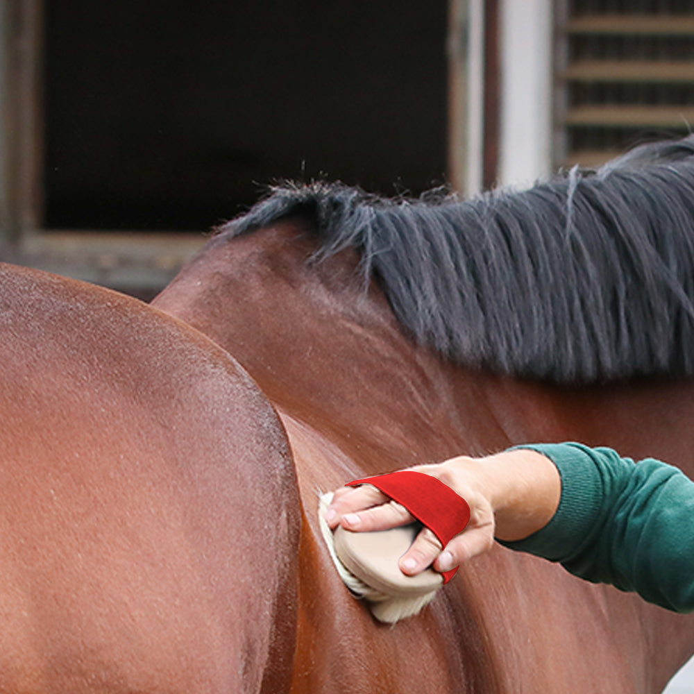 Brusca in Legno con Setole in Poliammide per Cavalli