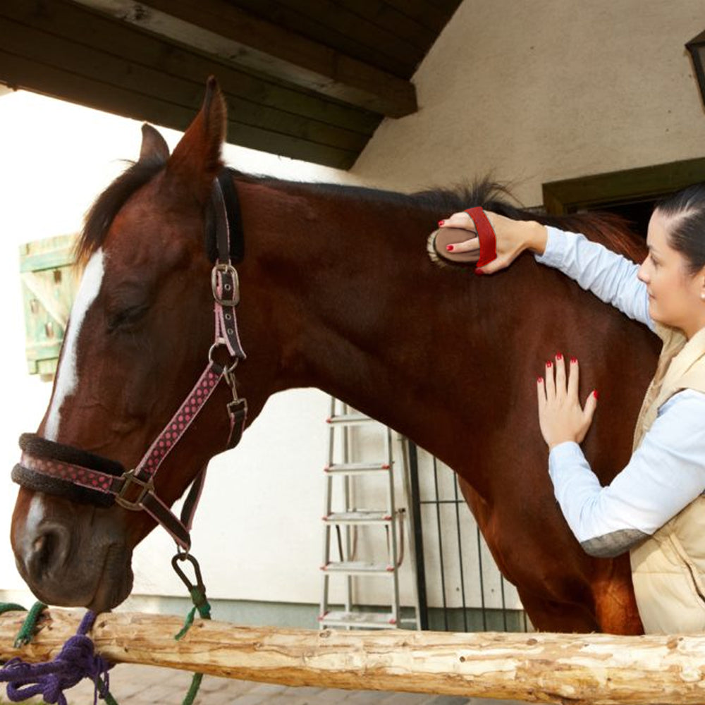 Brusca in Legno con Setole in Poliammide per Cavalli