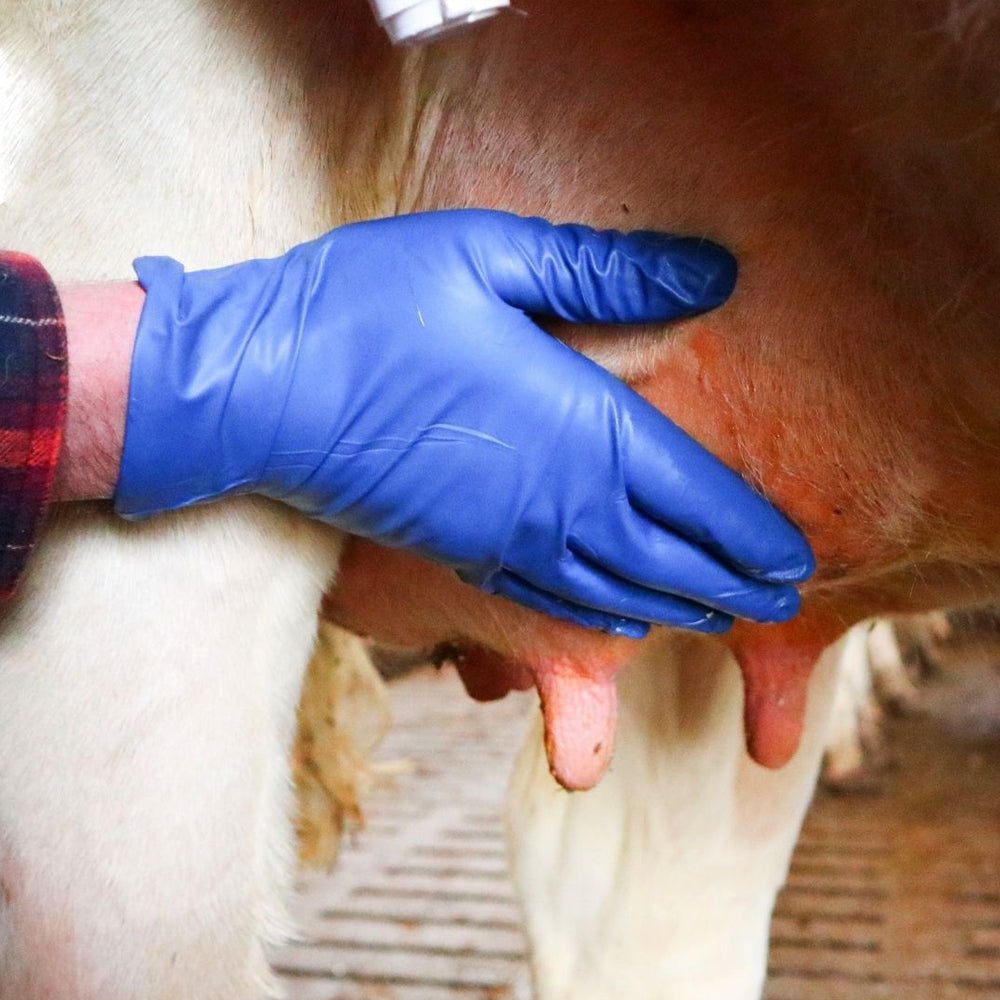 Prodotto per la cura della mammella Eutra Melkfett