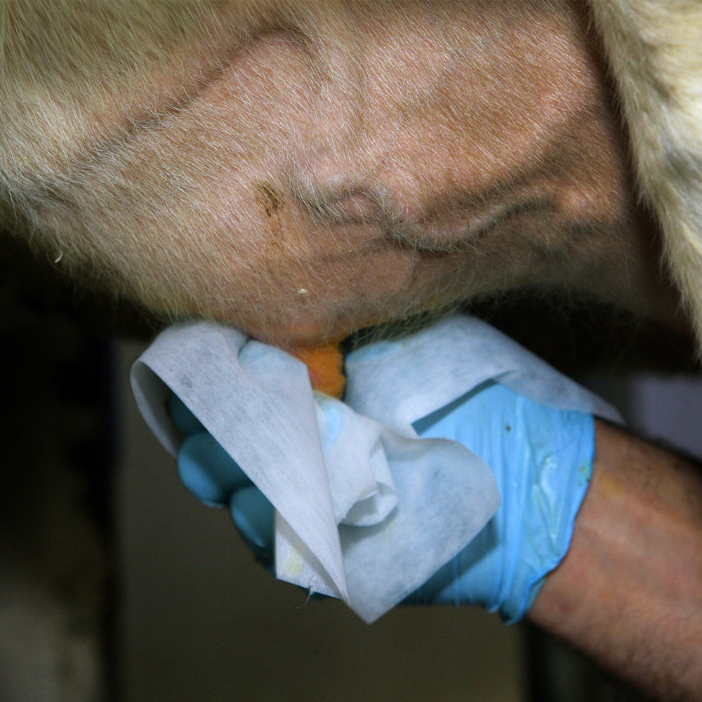 Prodotto per la cura della mammella Eutra Melkfett