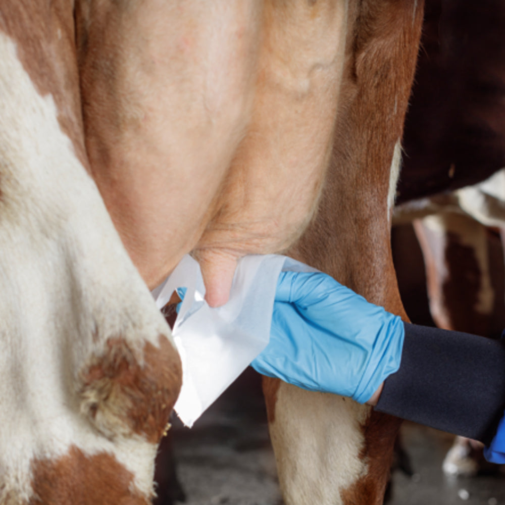 Prodotto per la cura della mammella Eutra Melkfett