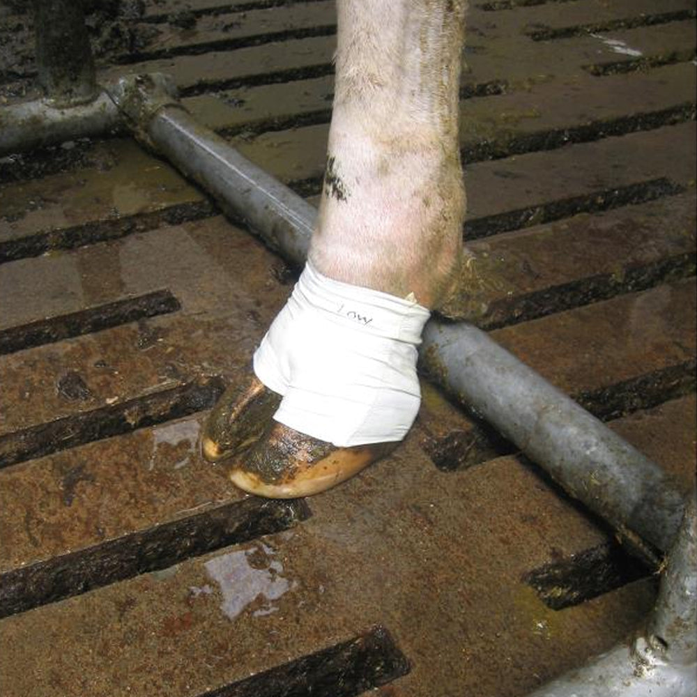 Bendaggio Medicazione per zoccoli VetTape