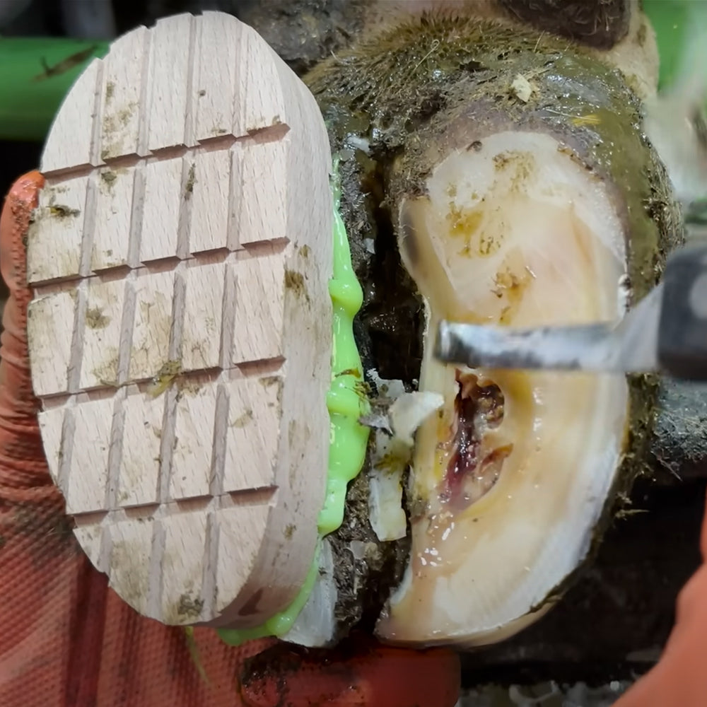 Soletta di legno standard