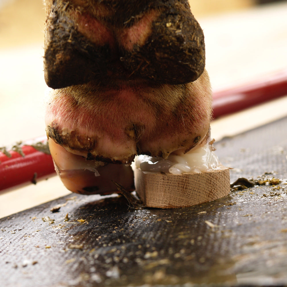 Soletta di legno standard